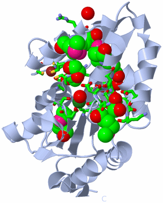 Image Biol. Unit 1 - sites