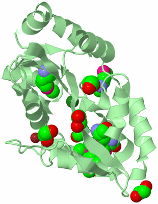 Image Biological Unit 2