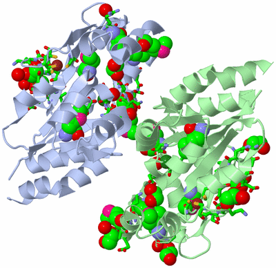 Image Asym. Unit - sites