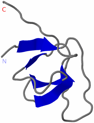 Image NMR Structure - model 1