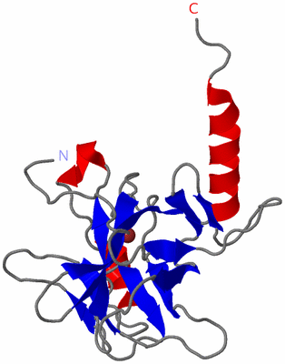 Image NMR Structure - model 1