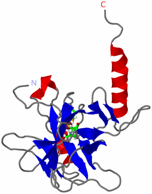 Image NMR Structure - model 1, sites