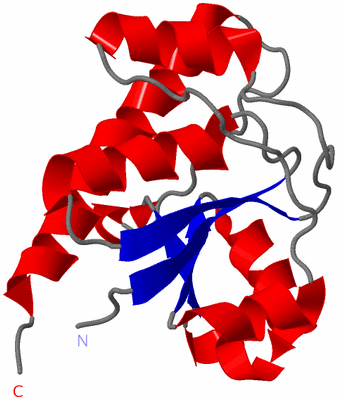 Image NMR Structure - model 1