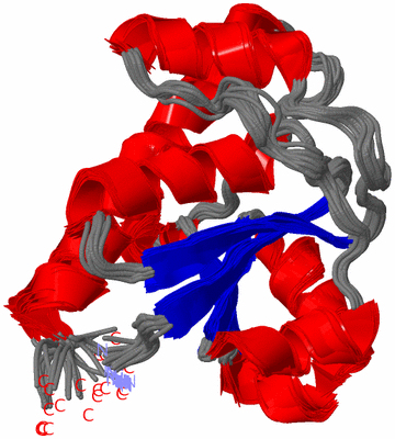 Image NMR Structure - all models