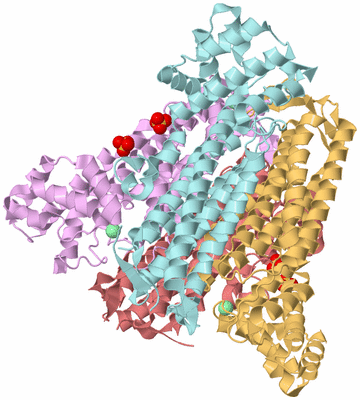 Image Biological Unit 2