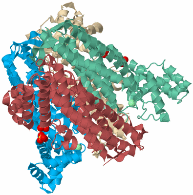 Image Biological Unit 3