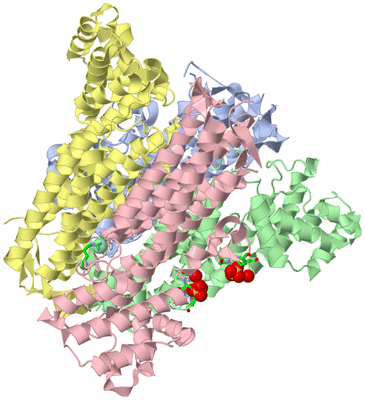 Image Biol. Unit 1 - sites