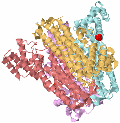 Image Biological Unit 2