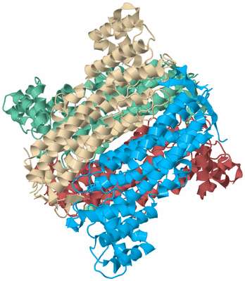 Image Biological Unit 3