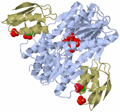 Image Biological Unit 1