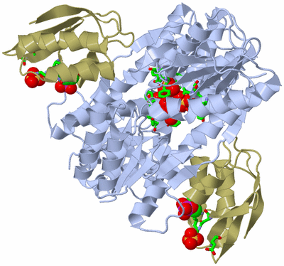 Image Biol. Unit 1 - sites