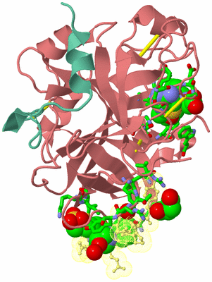 Image Biol. Unit 1 - sites