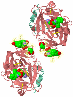 Image Biological Unit 2