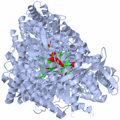 Image Biol. Unit 1 - sites