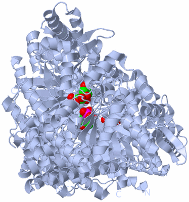 Image Biological Unit 3