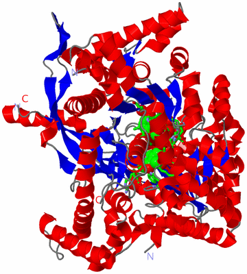 Image Asym. Unit - sites