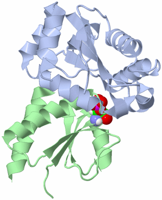 Image NMR Structure - model 1