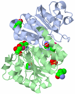 Image Biological Unit 1