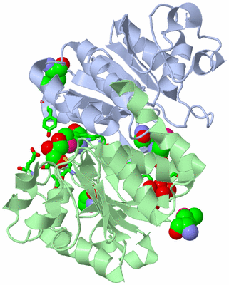 Image Biol. Unit 1 - sites