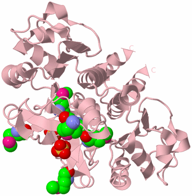 Image Biological Unit 2