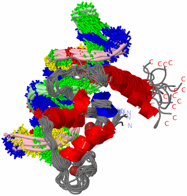 Image NMR Structure - all models