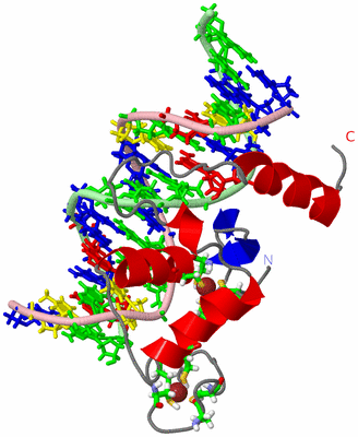 Image NMR Structure - model 1, sites