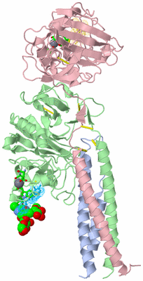 Image Biol. Unit 1 - sites