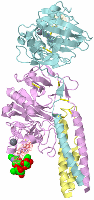 Image Biological Unit 2