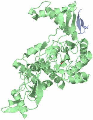 Image Asym./Biol. Unit