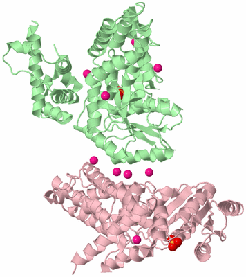 Image Biological Unit 10