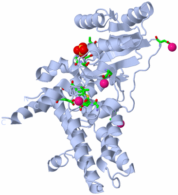 Image Biol. Unit 1 - sites