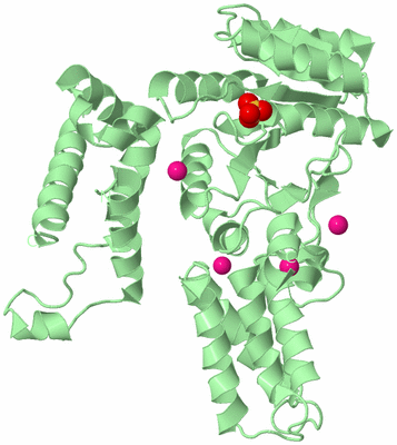 Image Biological Unit 2