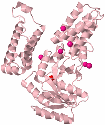 Image Biological Unit 3