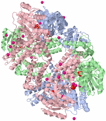 Image Biological Unit 5