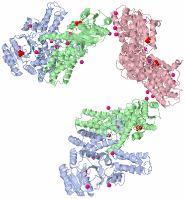 Image Biological Unit 6