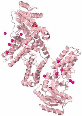 Image Biological Unit 8