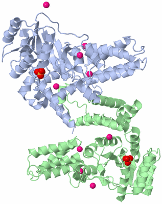 Image Biological Unit 9