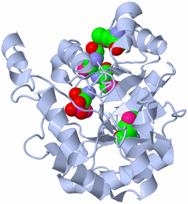 Image Biological Unit 1