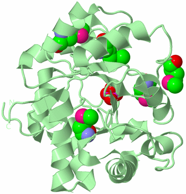 Image Biological Unit 2