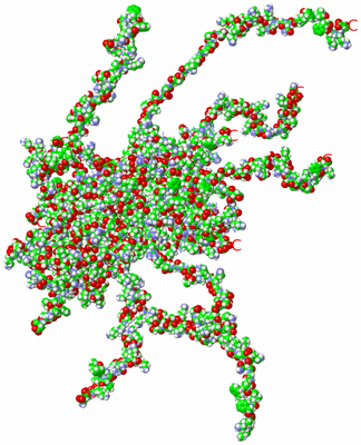 Image NMR Structure - all models