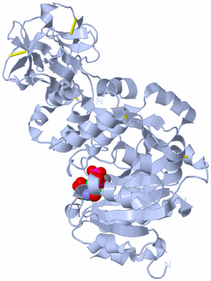 Image Biological Unit 1