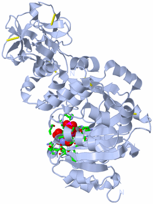 Image Biol. Unit 1 - sites