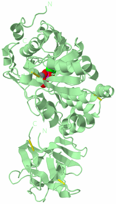 Image Biological Unit 2