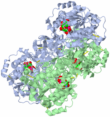 Image Biological Unit 3