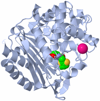 Image Biological Unit 1