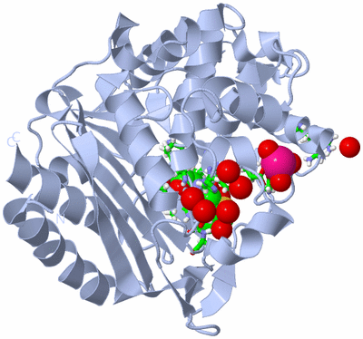 Image Biol. Unit 1 - sites