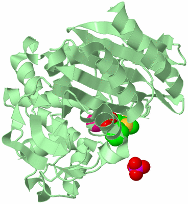 Image Biological Unit 2