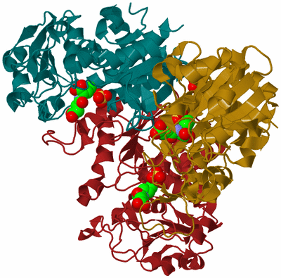 Image Biological Unit 1