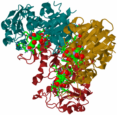 Image Biol. Unit 1 - sites