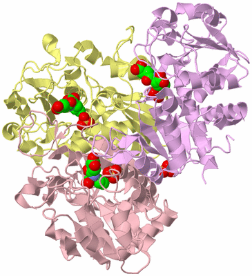 Image Biological Unit 2